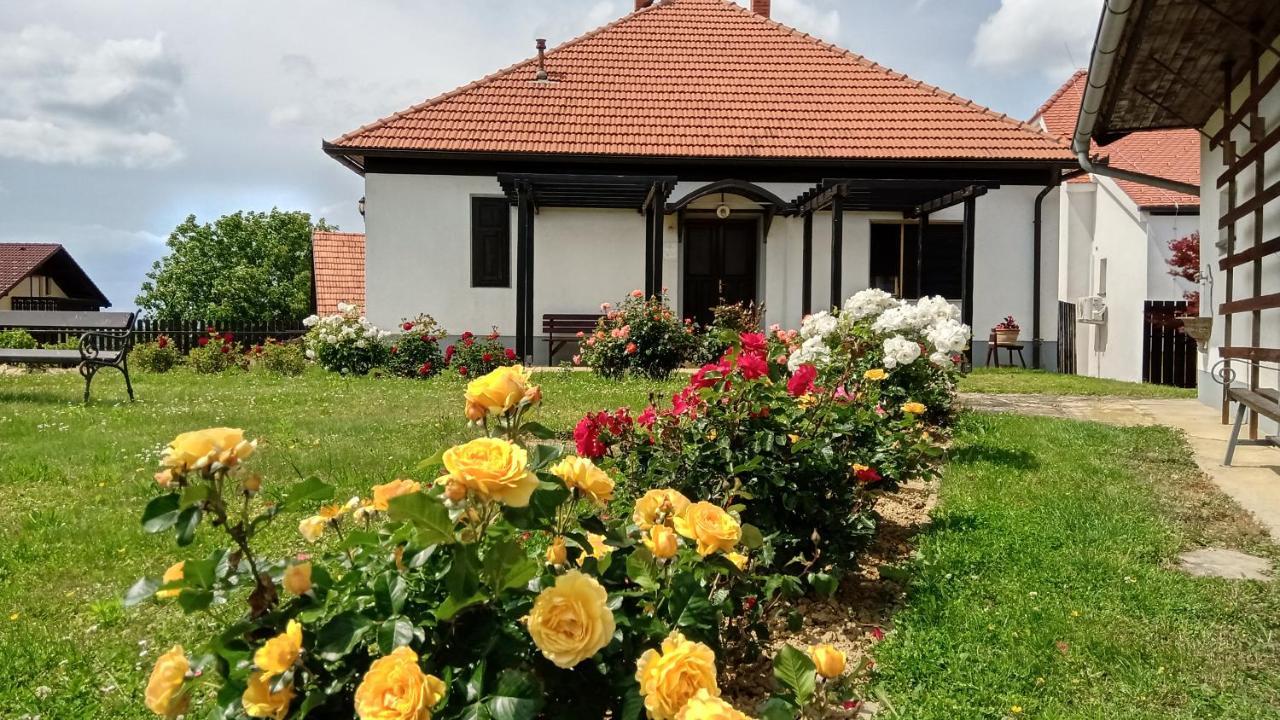 Pocitniska Hisa Kog Vila Exterior foto